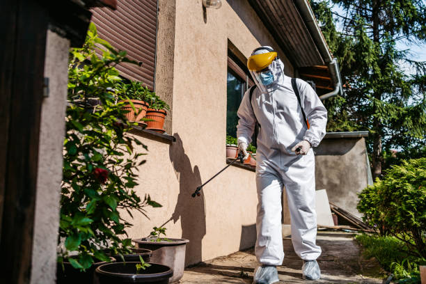 Best Mosquito Control Services  in Brandon, MS